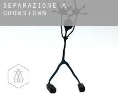 Separazione a  Growstown