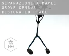 Separazione a  Maple Grove