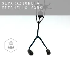 Separazione a  Mitchells Fork