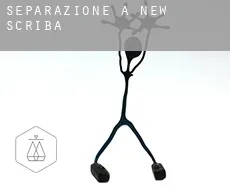 Separazione a  New Scriba