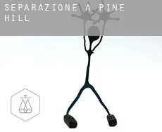 Separazione a  Pine Hill