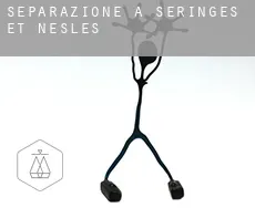 Separazione a Seringes-et-Nesles