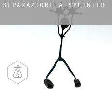 Separazione a  Splinter