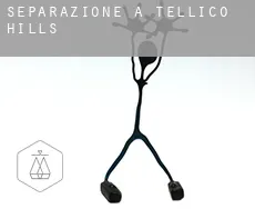 Separazione a  Tellico Hills