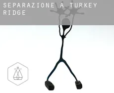 Separazione a  Turkey Ridge
