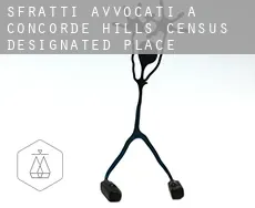 Sfratti avvocati a  Concorde Hills
