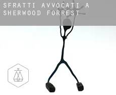 Sfratti avvocati a Sherwood Forrest
