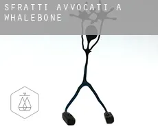Sfratti avvocati a  Whalebone