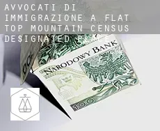Avvocati di immigrazione a  Flat Top Mountain