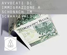 Avvocati di immigrazione a  Schonach im Schwarzwald