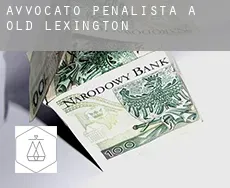 Avvocato penalista a  Old Lexington