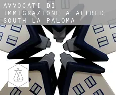 Avvocati di immigrazione a  Alfred-South La Paloma