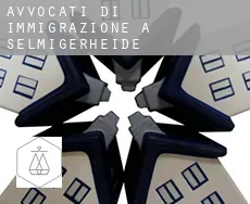 Avvocati di immigrazione a  Selmigerheide