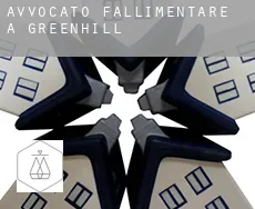 Avvocato fallimentare a Greenhill