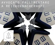 Avvocato fallimentare a  Reichenbacherhöfe