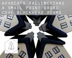 Avvocato fallimentare a  Small Point-Broad Cove-Blackhead-Adams Cove