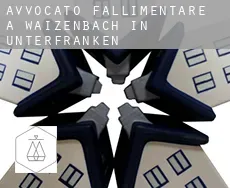 Avvocato fallimentare a  Waizenbach in Unterfranken
