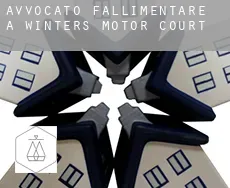 Avvocato fallimentare a  Winter's Motor Court