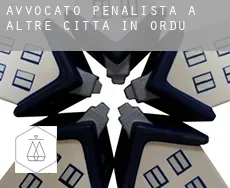 Avvocato penalista a  Altre città in Ordu