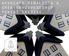 Avvocato penalista a Powiat średzki (Greater Poland Voivodeship)