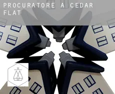 Procuratore a  Cedar Flat