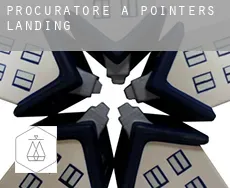 Procuratore a Pointers Landing