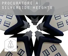 Procuratore a  Silverside Heights
