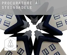 Procuratore a  Steingädele
