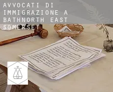 Avvocati di immigrazione a  Bath and North East Somerset