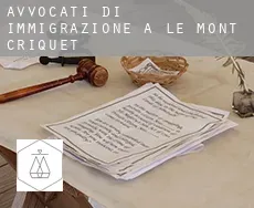 Avvocati di immigrazione a  Le Mont Criquet