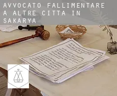 Avvocato fallimentare a Altre città in Sakarya