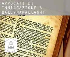 Avvocati di immigrazione a  Ballynamallaght