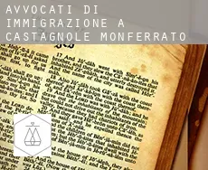 Avvocati di immigrazione a Castagnole Monferrato