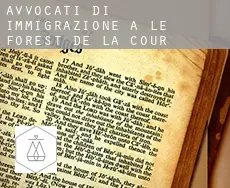 Avvocati di immigrazione a  Le Forest de la Cour