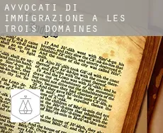 Avvocati di immigrazione a  Les Trois-Domaines