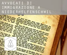 Avvocati di immigrazione a  Niederhelfenschwil