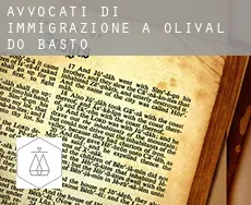 Avvocati di immigrazione a  Olival do Basto