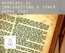 Avvocati di immigrazione a  Tower Grove East