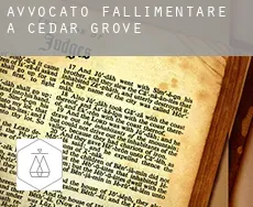 Avvocato fallimentare a  Cedar Grove