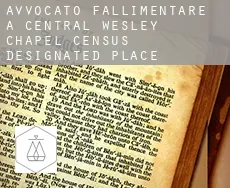 Avvocato fallimentare a  Central Wesley Chapel