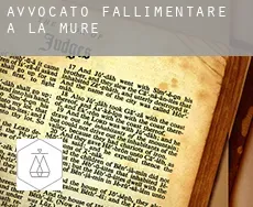 Avvocato fallimentare a  La Mure