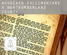 Avvocato fallimentare a  Northumberland County