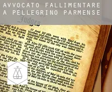 Avvocato fallimentare a Pellegrino Parmense