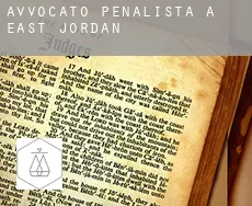 Avvocato penalista a  East Jordan