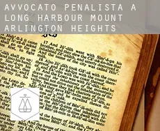Avvocato penalista a  Long Harbour-Mount Arlington Heights