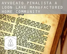 Avvocato penalista a  Loon Lake Manufactured Home Community