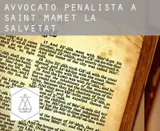 Avvocato penalista a  Saint-Mamet-la-Salvetat