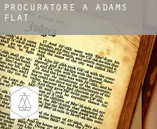 Procuratore a  Adams Flat