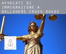Avvocati di immigrazione a Gallaher’s Cross Roads