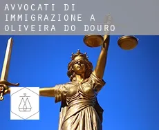Avvocati di immigrazione a Oliveira do Douro